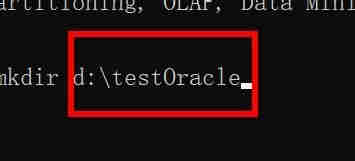 Oracle如何执行操作系统命令