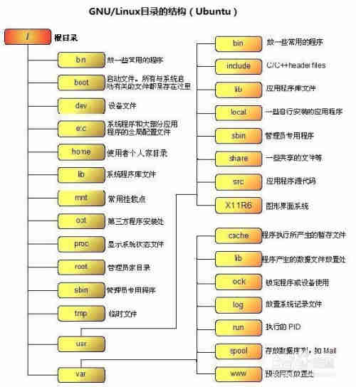 shell 脚本怎么执行linux 指令