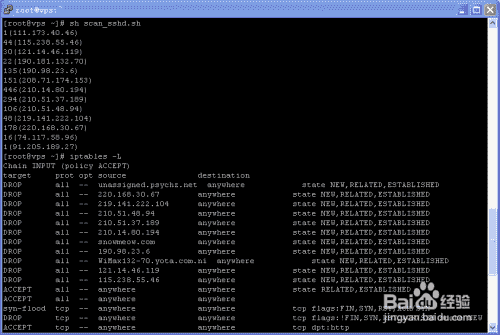 shell 脚本怎么执行linux 指令