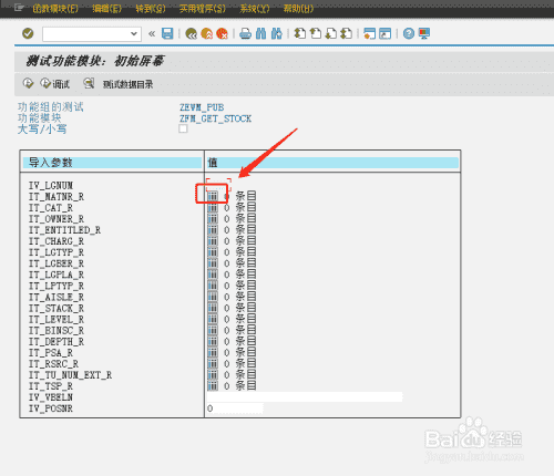 SAP如何传入参数执行函数