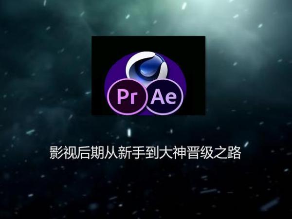 pr和ae 与 cad和3d，在没有基础的情况下学哪个比较实用，最起码能养家糊口的？(图1)