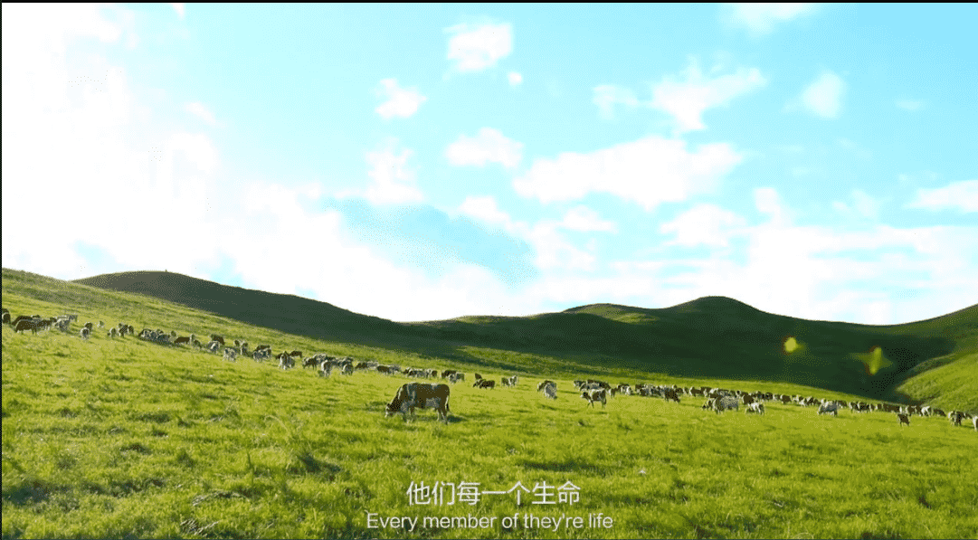 科尔沁牛业纪录片